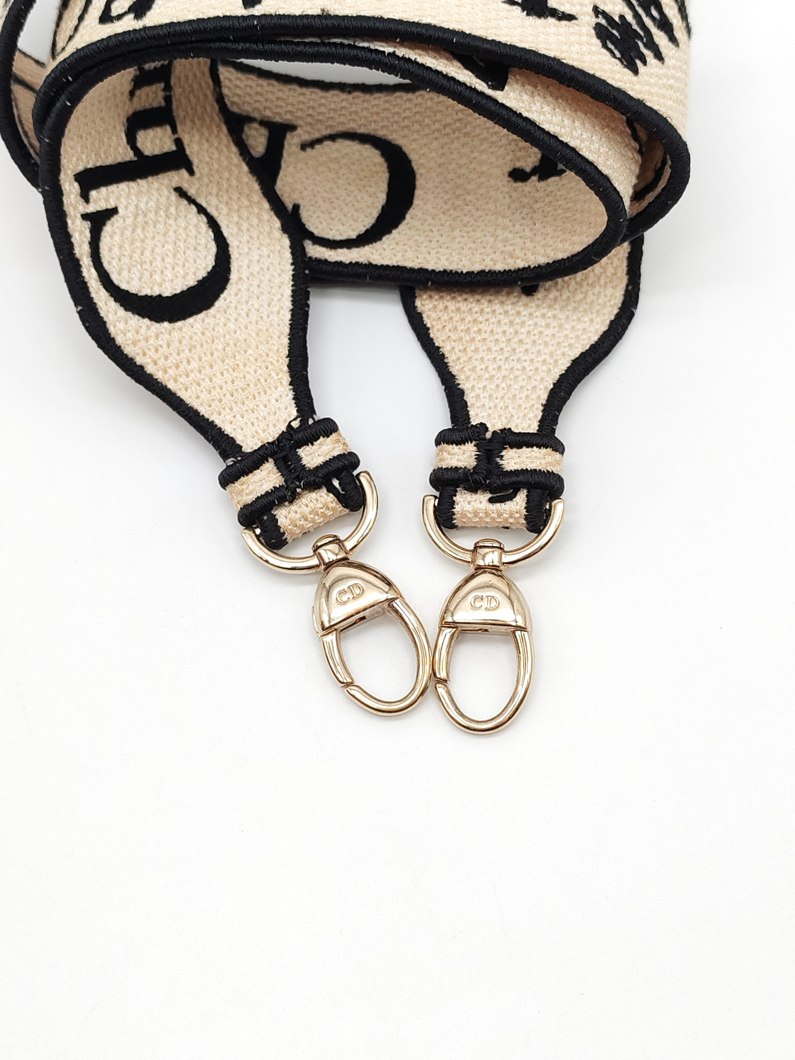 Lady D-Lite Medium in Latte Multicolor Dioramour Graffiti Embroidery & Light Gold Hardware | Purse Maison Luxury Bags Shop