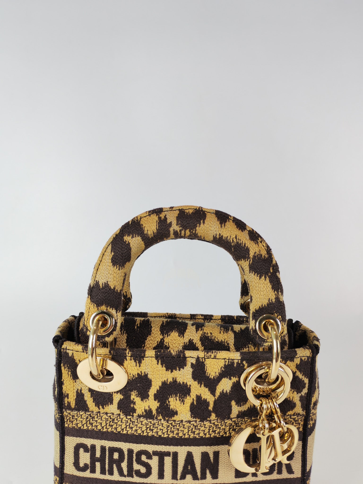 Lady D-lite Mini in Mizza Leopard Embroidered Canvas | Purse Maison Luxury Bags Shop