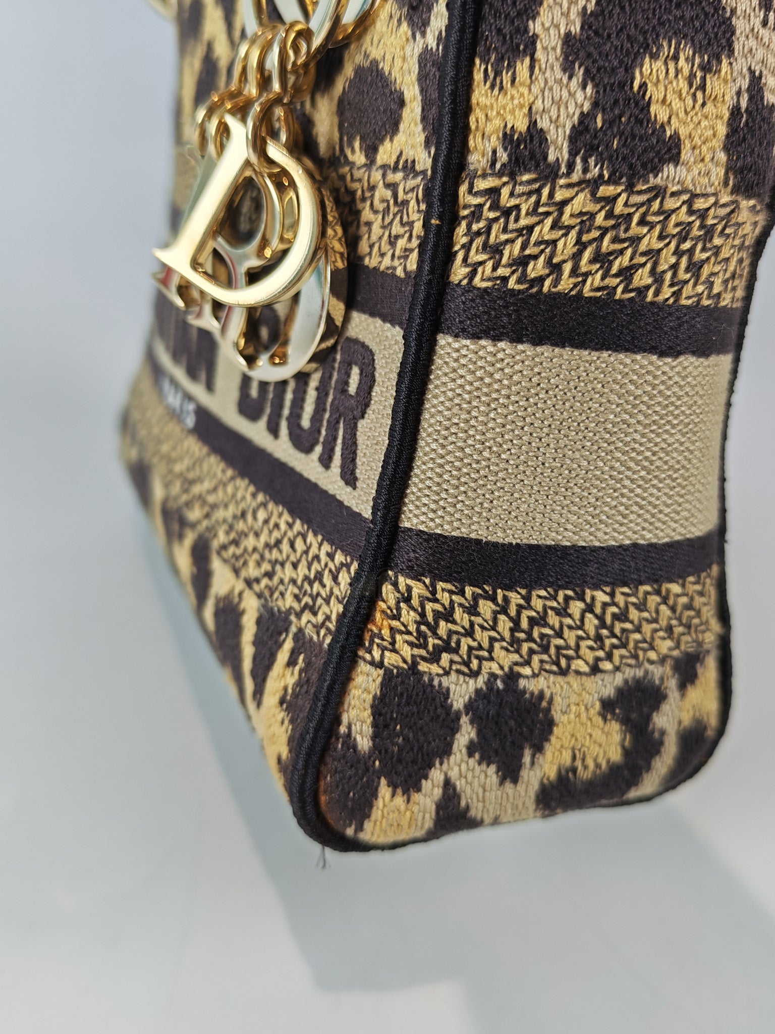 Lady D-lite Mini in Mizza Leopard Embroidered Canvas | Purse Maison Luxury Bags Shop