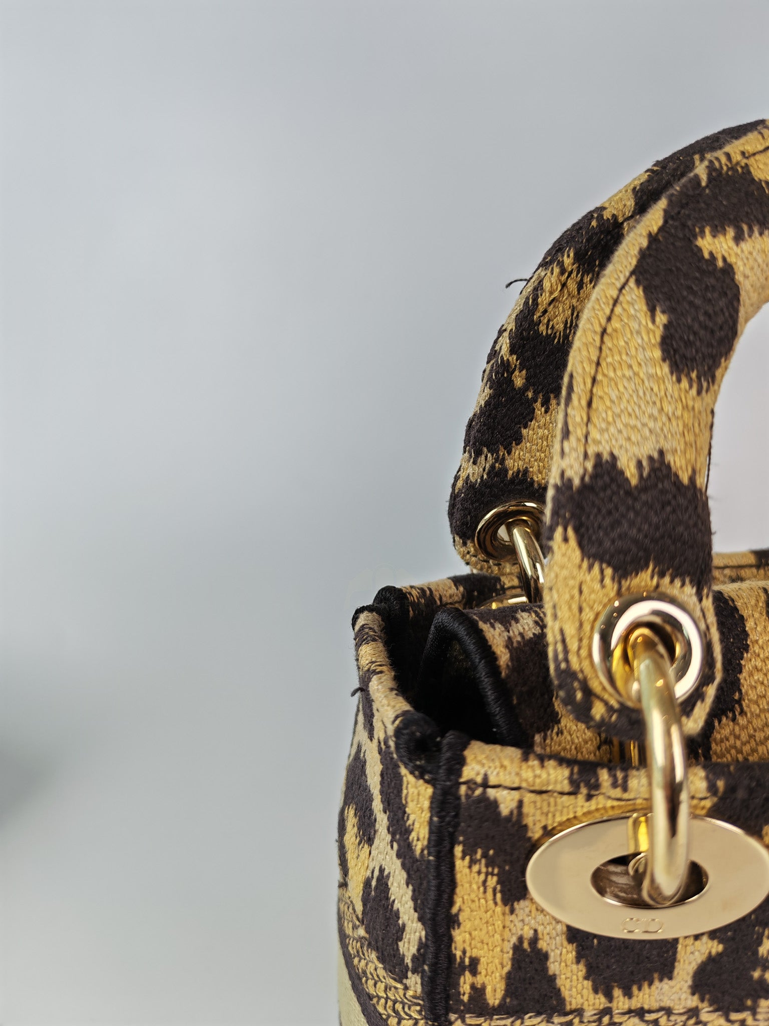 Lady D-lite Mini in Mizza Leopard Embroidered Canvas | Purse Maison Luxury Bags Shop