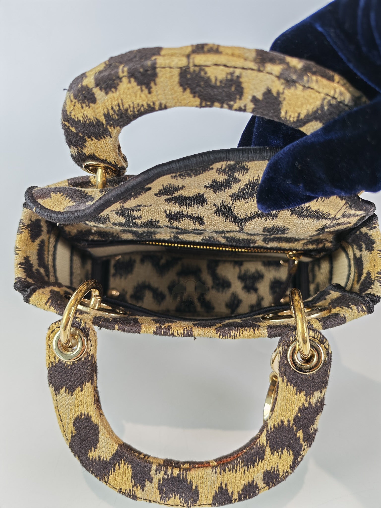 Lady D-lite Mini in Mizza Leopard Embroidered Canvas | Purse Maison Luxury Bags Shop