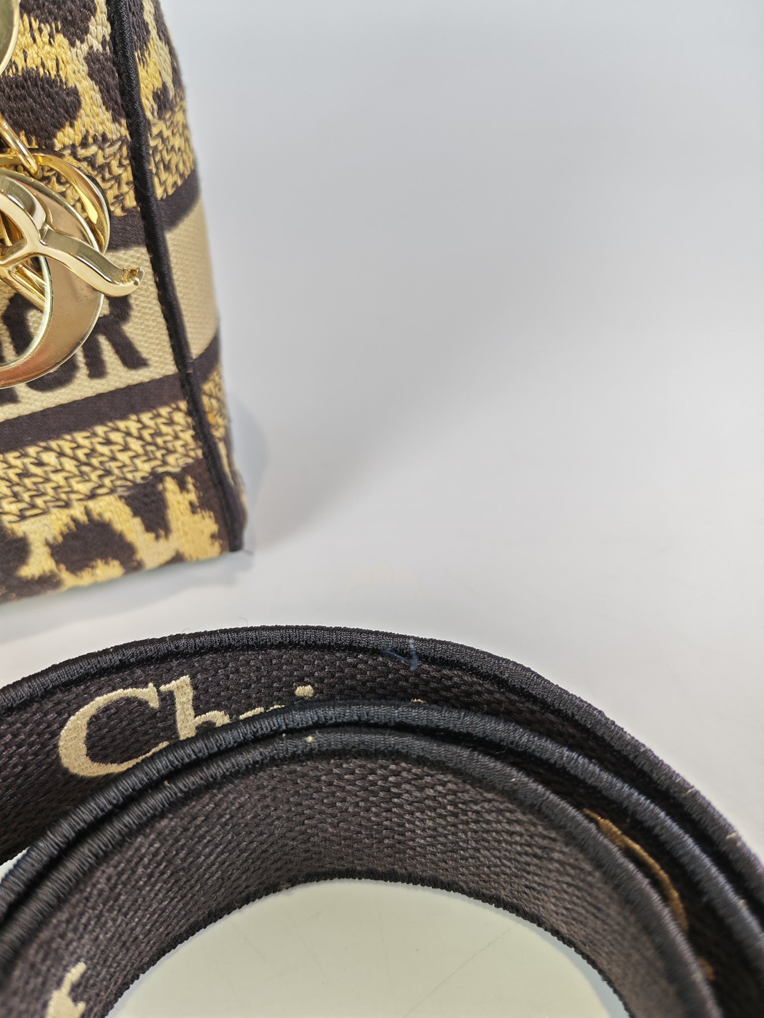 Lady D-lite Mini in Mizza Leopard Embroidered Canvas | Purse Maison Luxury Bags Shop