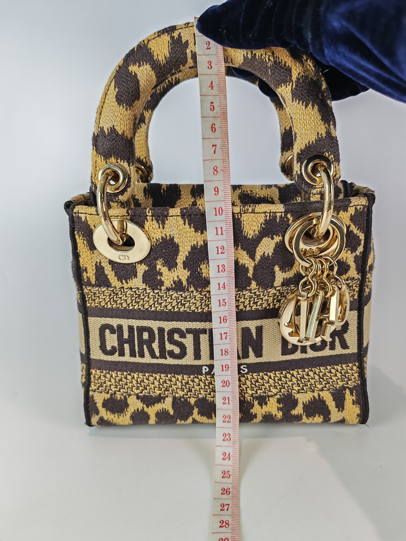 Lady D-lite Mini in Mizza Leopard Embroidered Canvas | Purse Maison Luxury Bags Shop