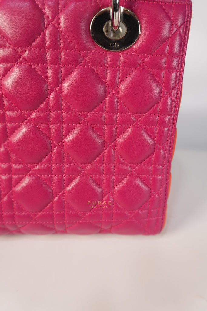 Lady Dior Medium Tricolor Cannage Quilted Lambskin Leather | Purse Maison Luxury Bags Shop