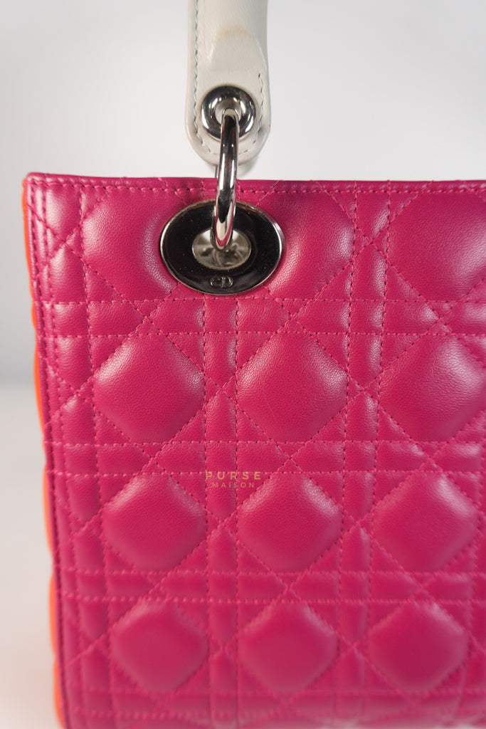 Lady Dior Medium Tricolor Cannage Quilted Lambskin Leather | Purse Maison Luxury Bags Shop