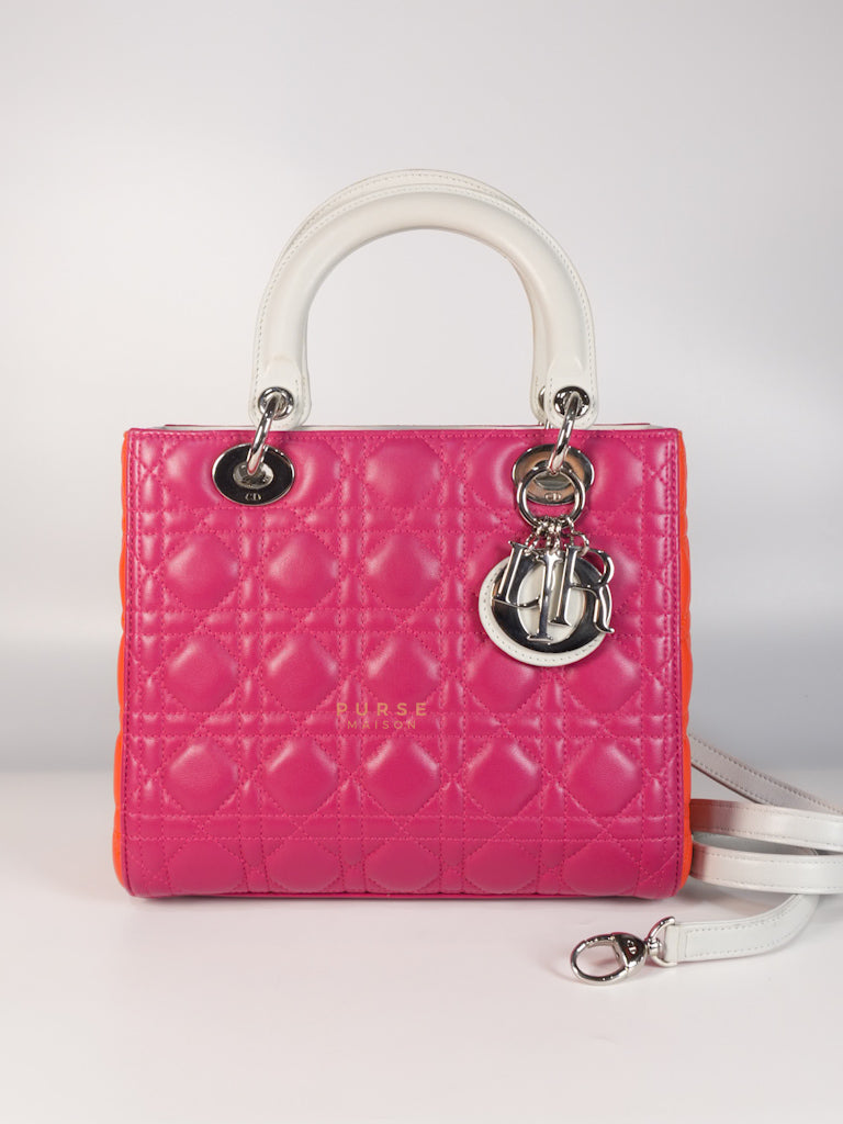 Lady Dior Medium Tricolor Cannage Quilted Lambskin Leather | Purse Maison Luxury Bags Shop