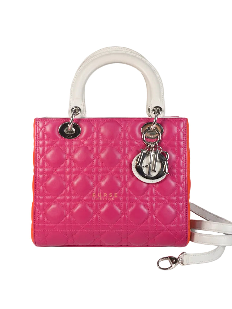 Lady Dior Medium Tricolor Cannage Quilted Lambskin Leather | Purse Maison Luxury Bags Shop