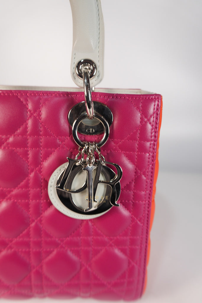 Lady Dior Medium Tricolor Cannage Quilted Lambskin Leather | Purse Maison Luxury Bags Shop