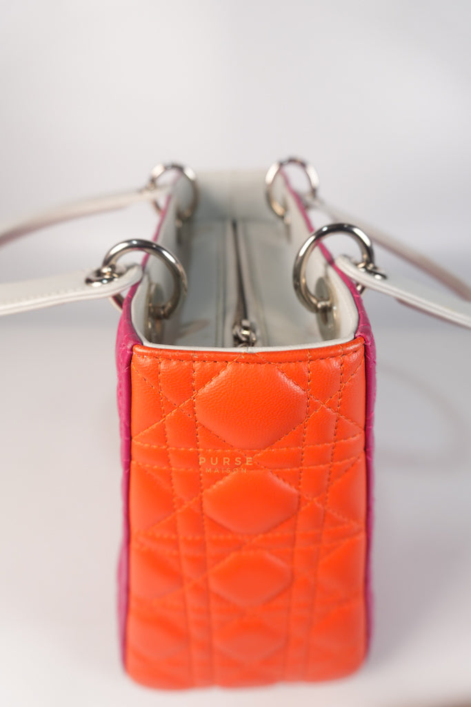 Lady Dior Medium Tricolor Cannage Quilted Lambskin Leather | Purse Maison Luxury Bags Shop