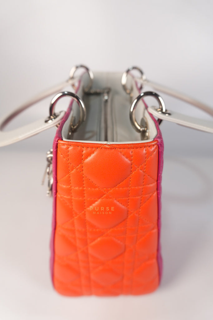 Lady Dior Medium Tricolor Cannage Quilted Lambskin Leather | Purse Maison Luxury Bags Shop