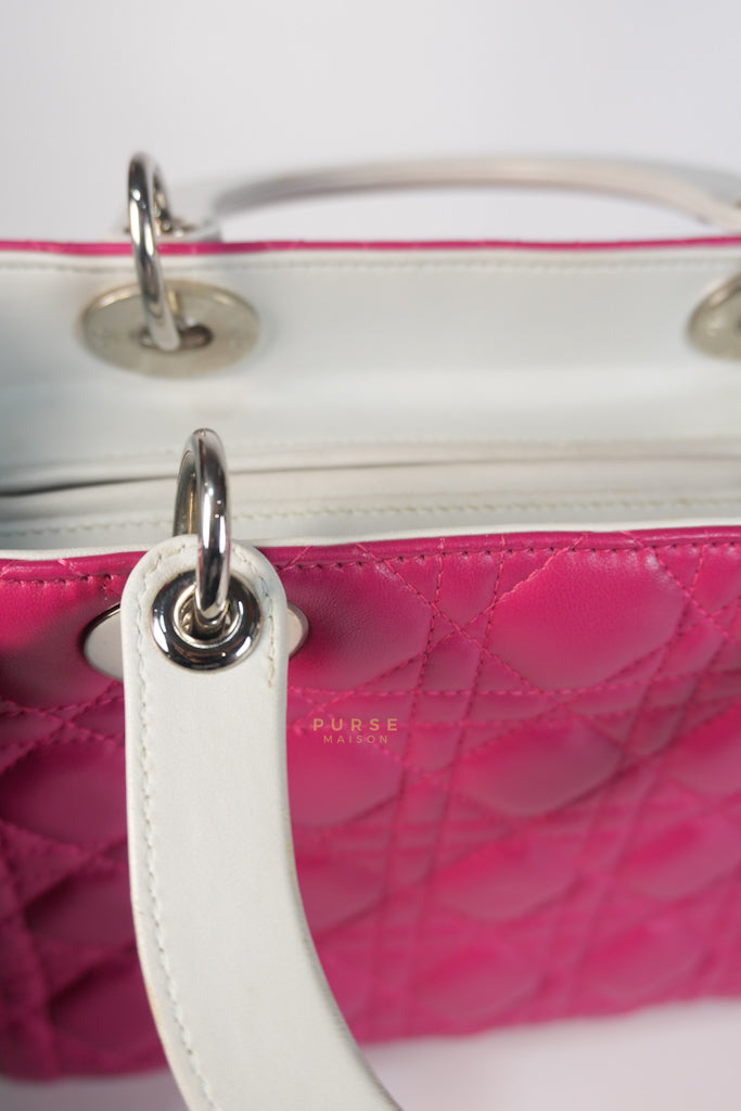 Lady Dior Medium Tricolor Cannage Quilted Lambskin Leather | Purse Maison Luxury Bags Shop