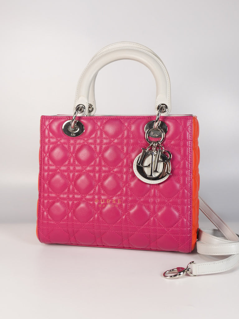 Lady Dior Medium Tricolor Cannage Quilted Lambskin Leather | Purse Maison Luxury Bags Shop