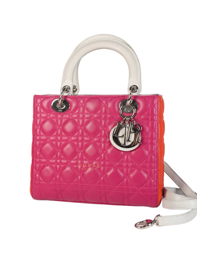 Lady Dior Medium Tricolor Cannage Quilted Lambskin Leather | Purse Maison Luxury Bags Shop