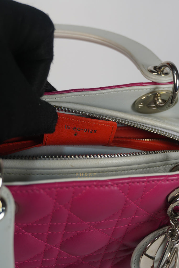 Lady Dior Medium Tricolor Cannage Quilted Lambskin Leather | Purse Maison Luxury Bags Shop