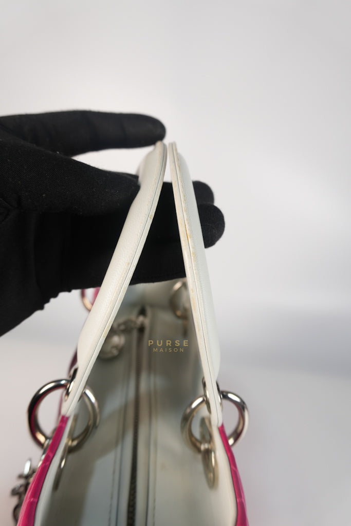 Lady Dior Medium Tricolor Cannage Quilted Lambskin Leather | Purse Maison Luxury Bags Shop