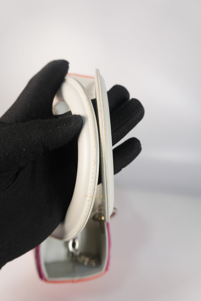 Lady Dior Medium Tricolor Cannage Quilted Lambskin Leather | Purse Maison Luxury Bags Shop