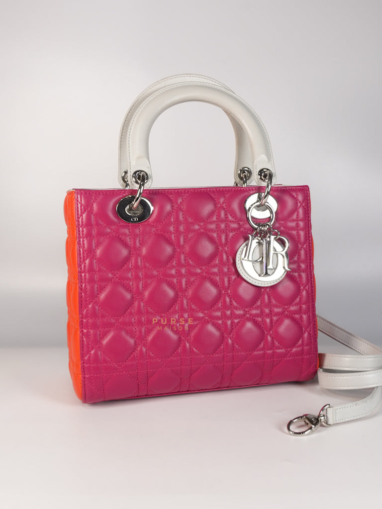 Lady Dior Medium Tricolor Cannage Quilted Lambskin Leather | Purse Maison Luxury Bags Shop