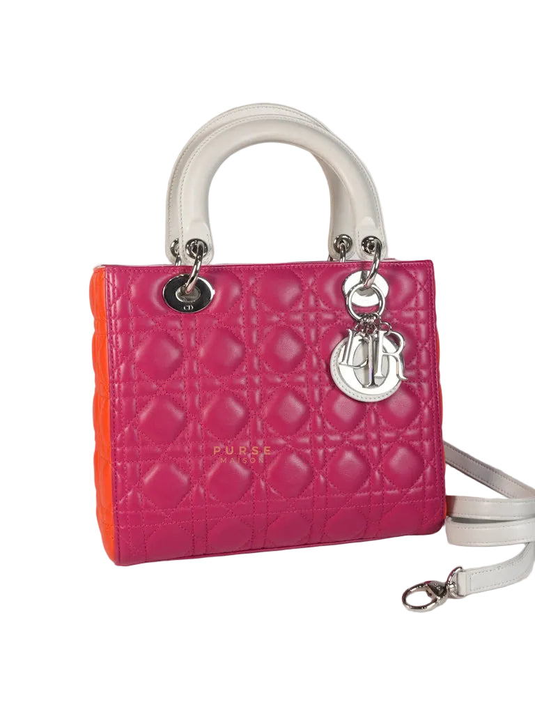 Lady Dior Medium Tricolor Cannage Quilted Lambskin Leather | Purse Maison Luxury Bags Shop