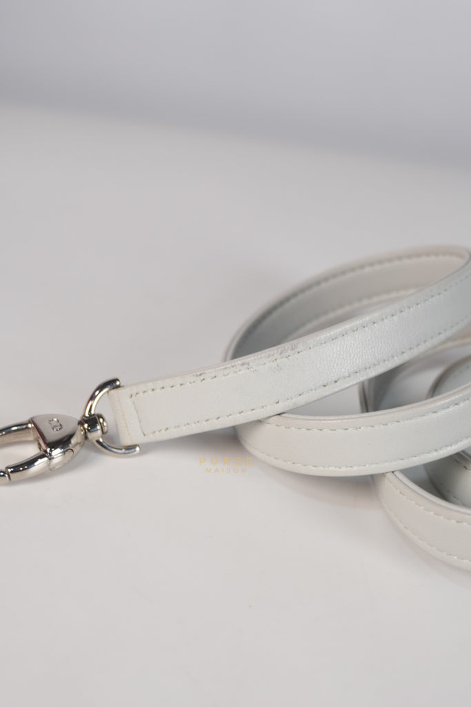 Lady Dior Medium Tricolor Cannage Quilted Lambskin Leather | Purse Maison Luxury Bags Shop