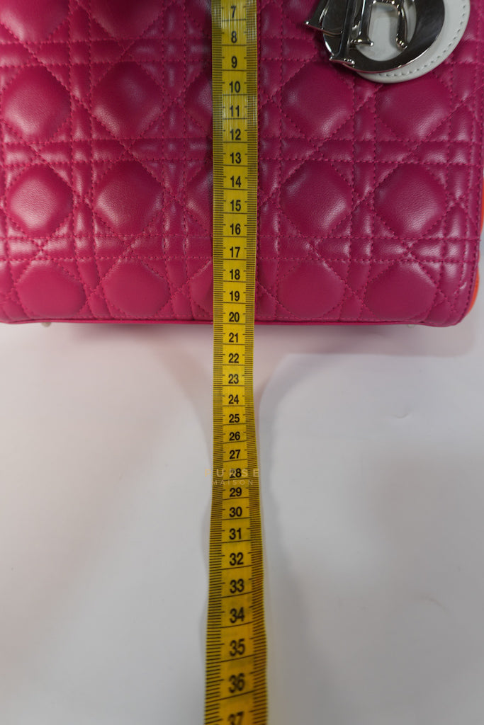 Lady Dior Medium Tricolor Cannage Quilted Lambskin Leather | Purse Maison Luxury Bags Shop