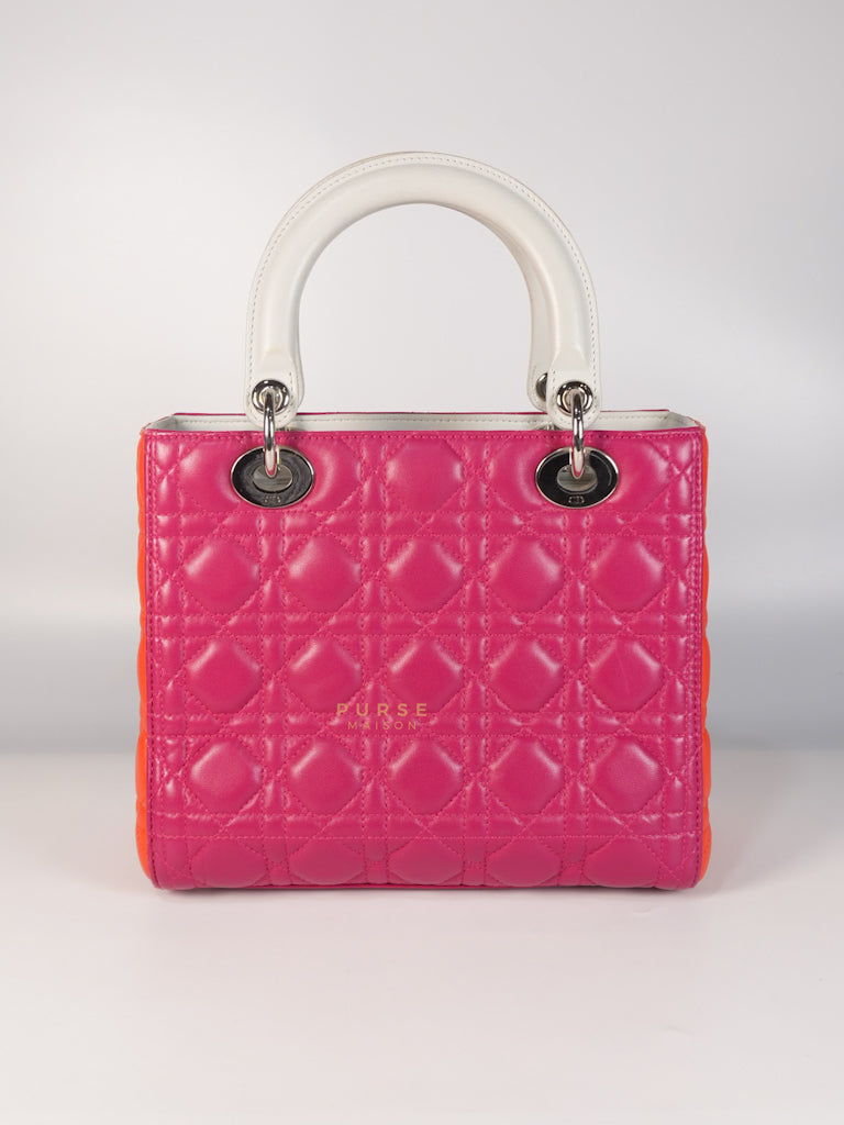 Lady Dior Medium Tricolor Cannage Quilted Lambskin Leather | Purse Maison Luxury Bags Shop