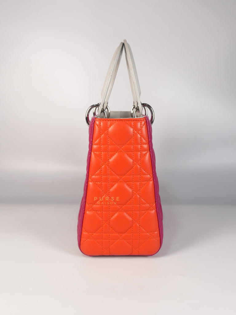 Lady Dior Medium Tricolor Cannage Quilted Lambskin Leather | Purse Maison Luxury Bags Shop