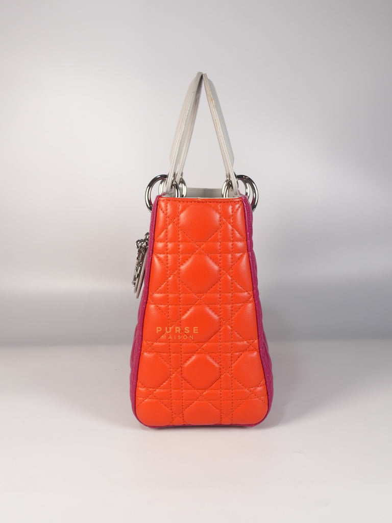 Lady Dior Medium Tricolor Cannage Quilted Lambskin Leather | Purse Maison Luxury Bags Shop