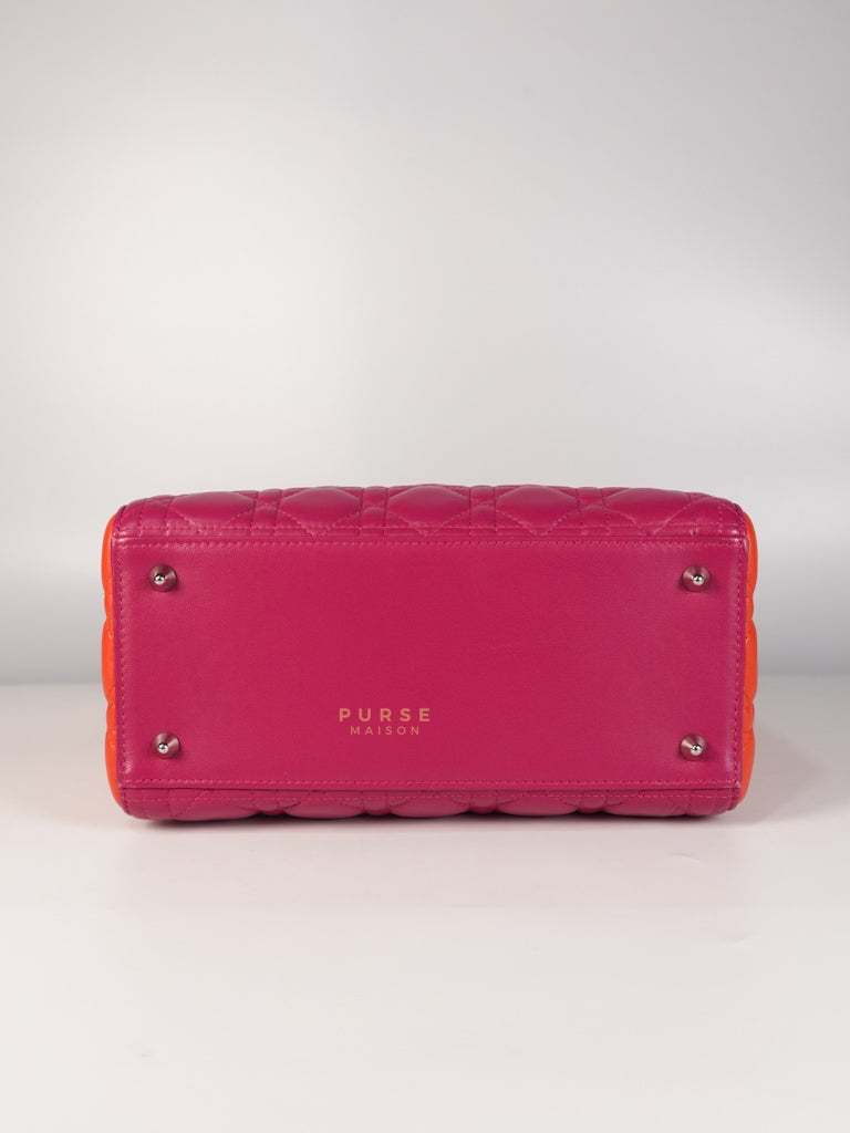 Lady Dior Medium Tricolor Cannage Quilted Lambskin Leather | Purse Maison Luxury Bags Shop