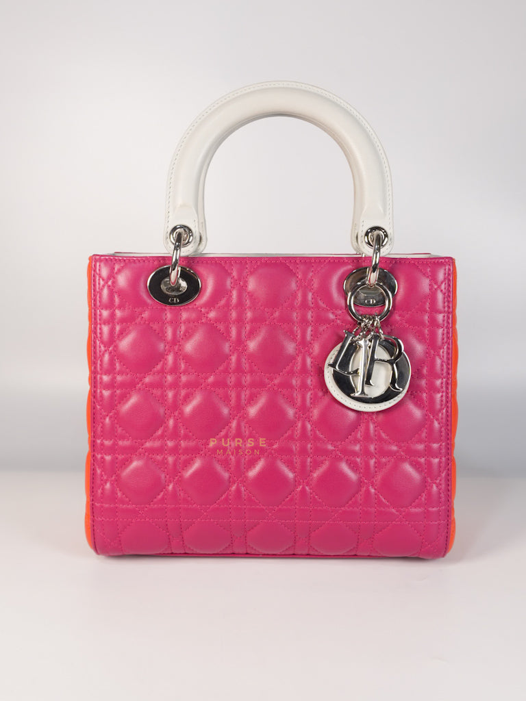 Lady Dior Medium Tricolor Cannage Quilted Lambskin Leather | Purse Maison Luxury Bags Shop