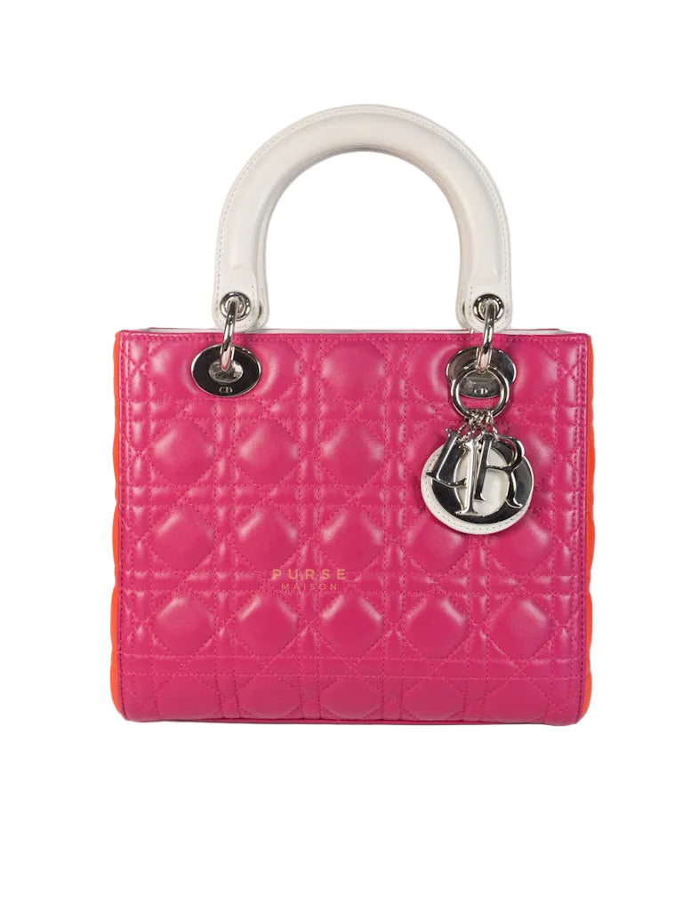 Lady Dior Medium Tricolor Cannage Quilted Lambskin Leather | Purse Maison Luxury Bags Shop
