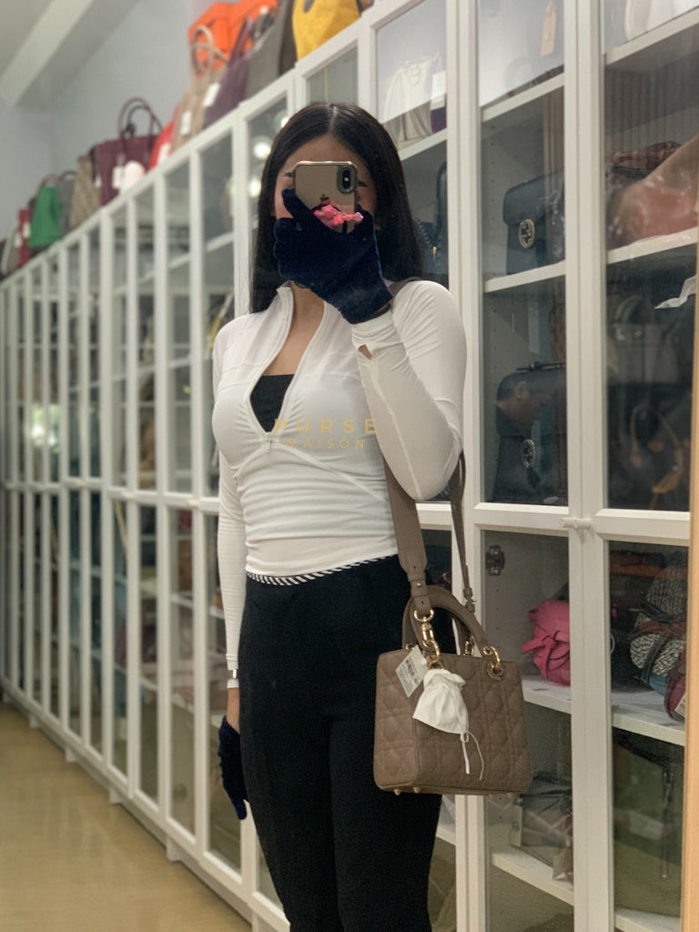 Lady Dior My ABCDior Small Bag in Taupe Quilted Lambskin Leather & Gold Hardware | Purse Maison Luxury Bags Shop