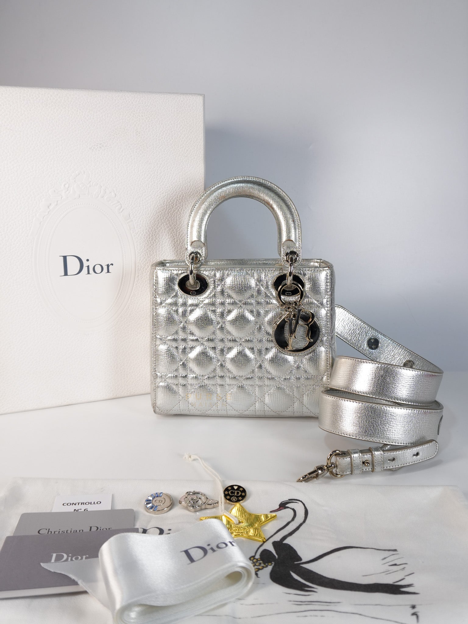 Lady Dior Small ADCDior Metallic Silver Grained Calfskin Leather | Purse Maison Luxury Bags Shop