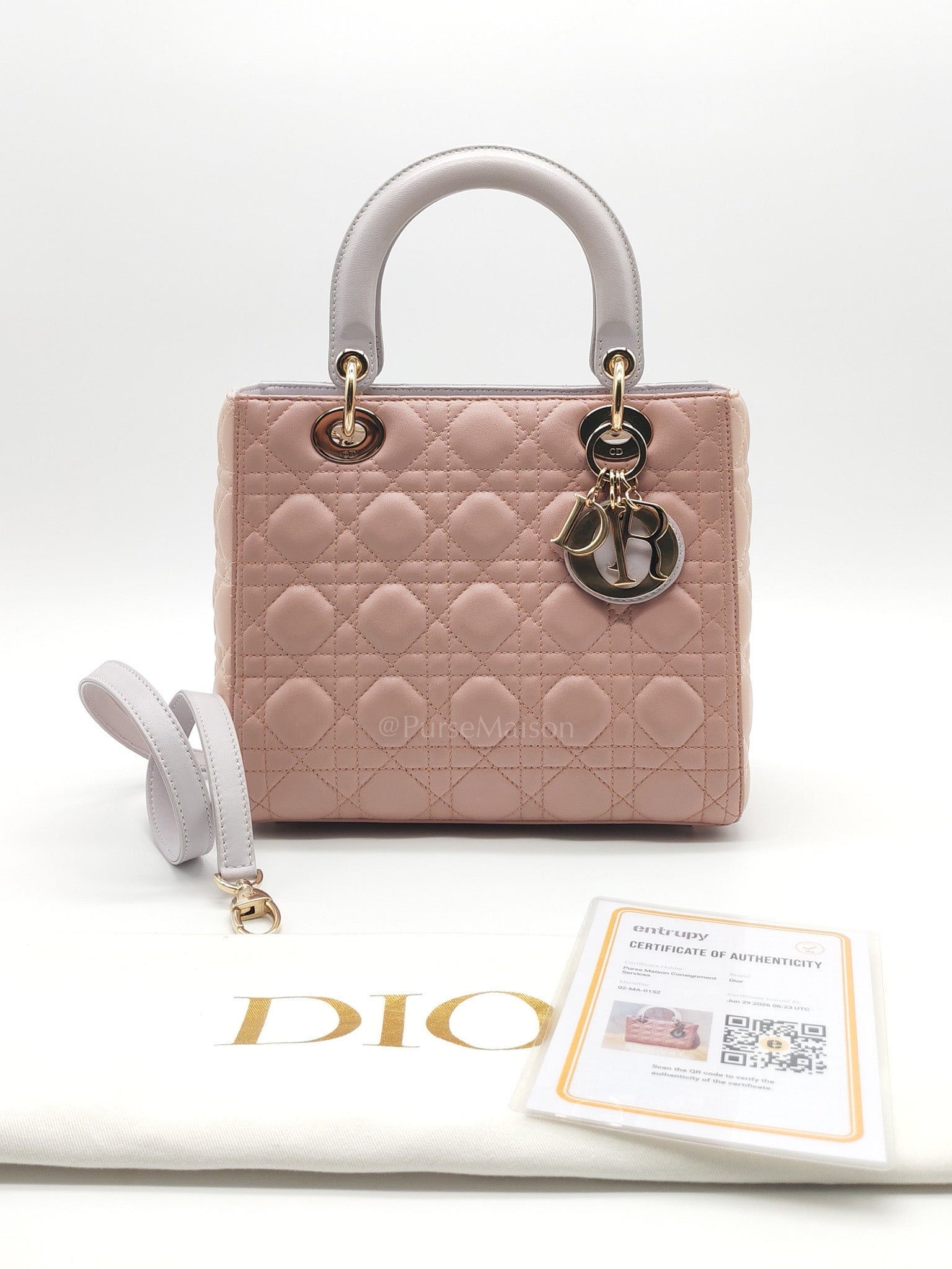 Lady Dior Bag Bi-Color 02-MA-0152