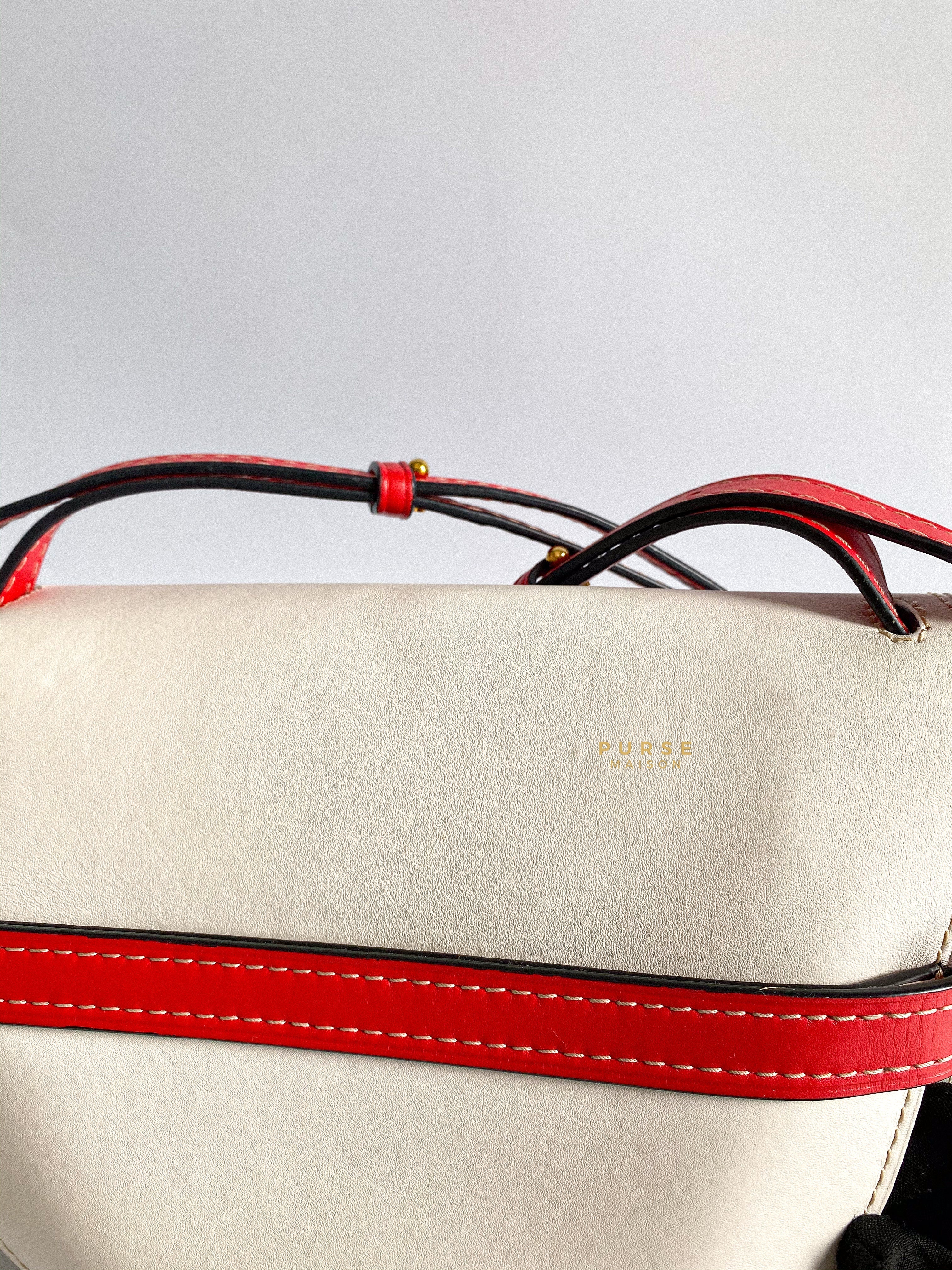 Loewe Gate Small in Red/White/Gray Leather
