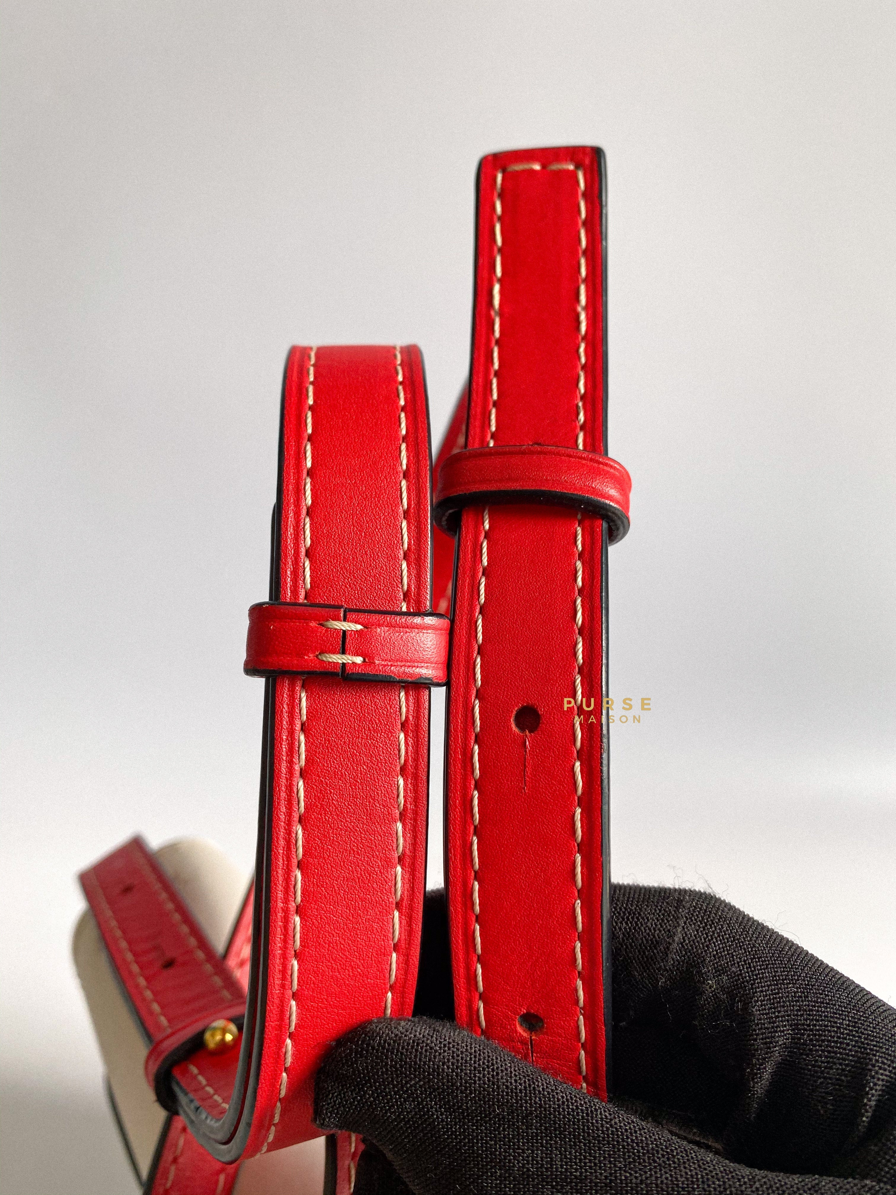 Loewe Gate Small in Red/White/Gray Leather