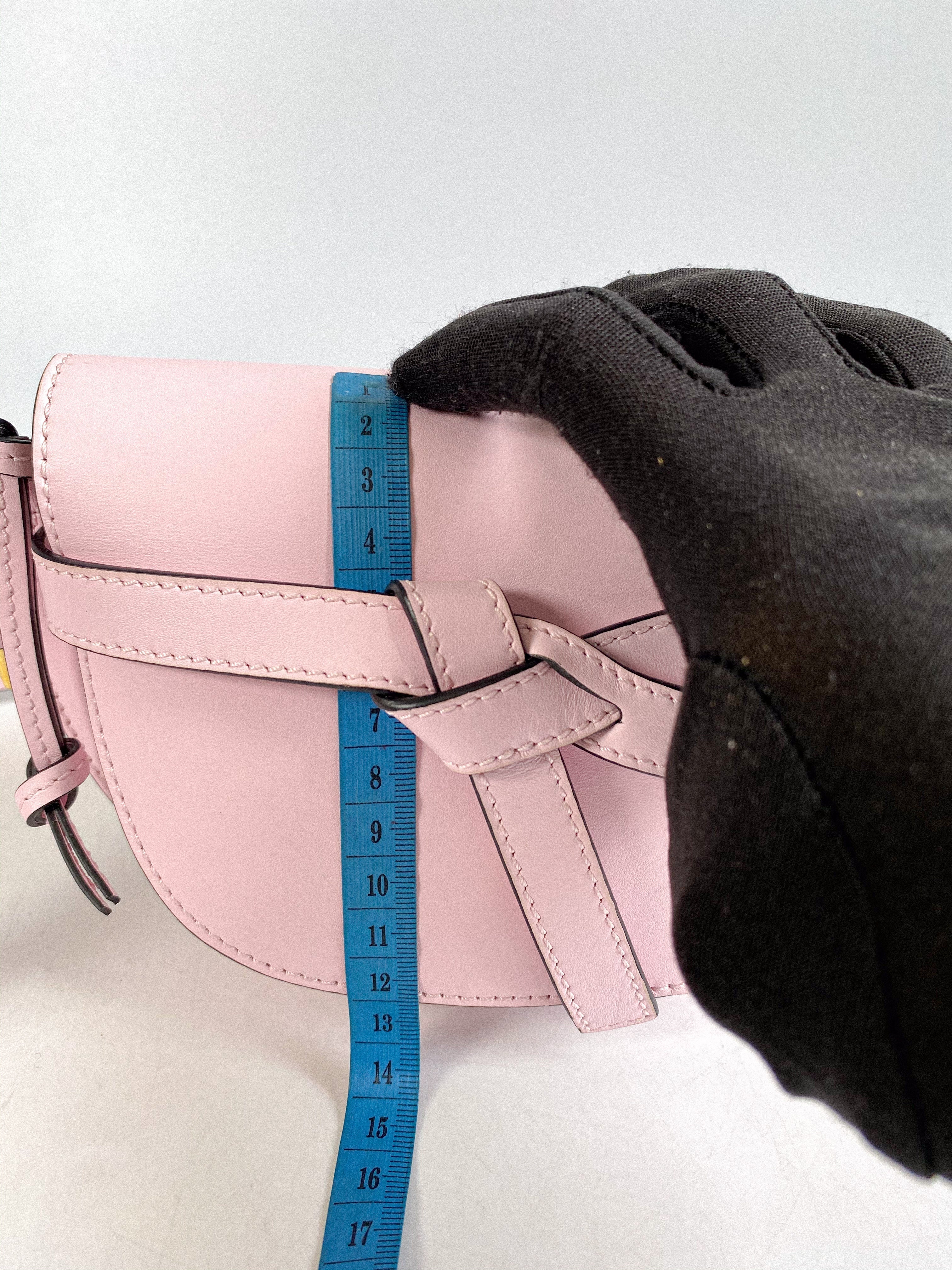 Loewe Mini Gate Bumbag Icy Pink