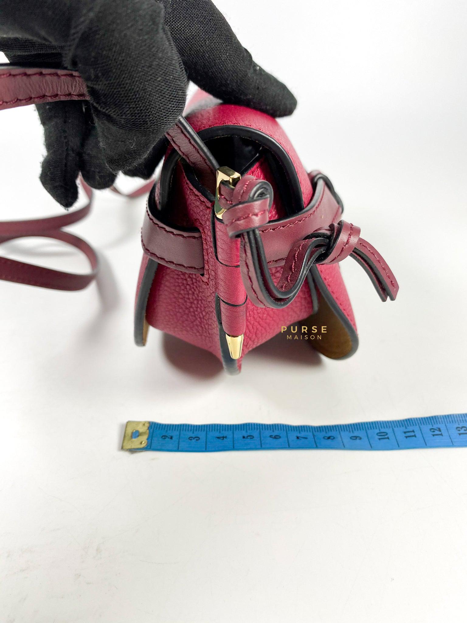 Loewe Mini Gate Raspberry Wine Leather Cross Body Bag
