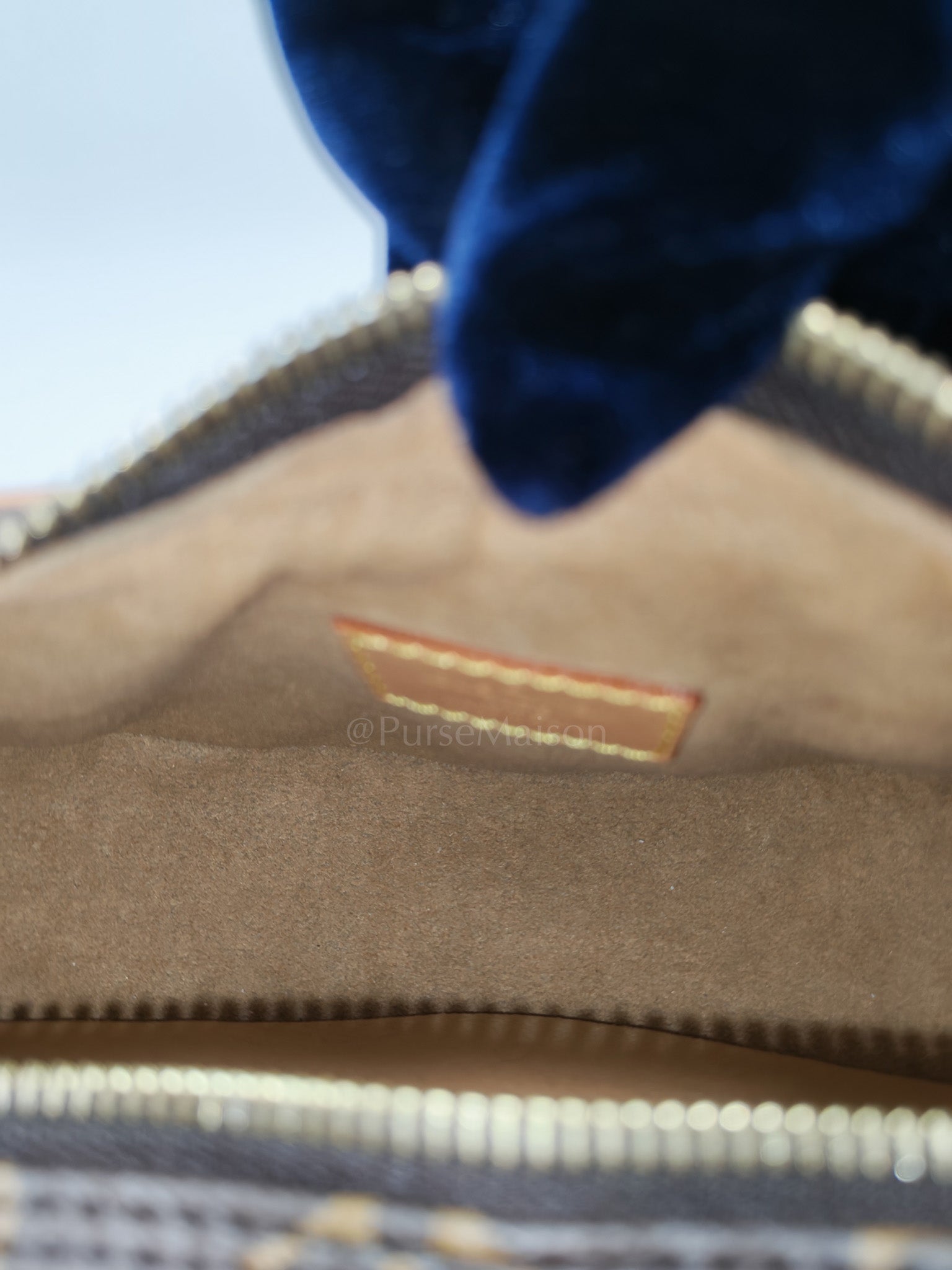 Loop Handbag in Monogram Canvas & Gold Hardware Microchip | Purse Maison Luxury Bags Shop