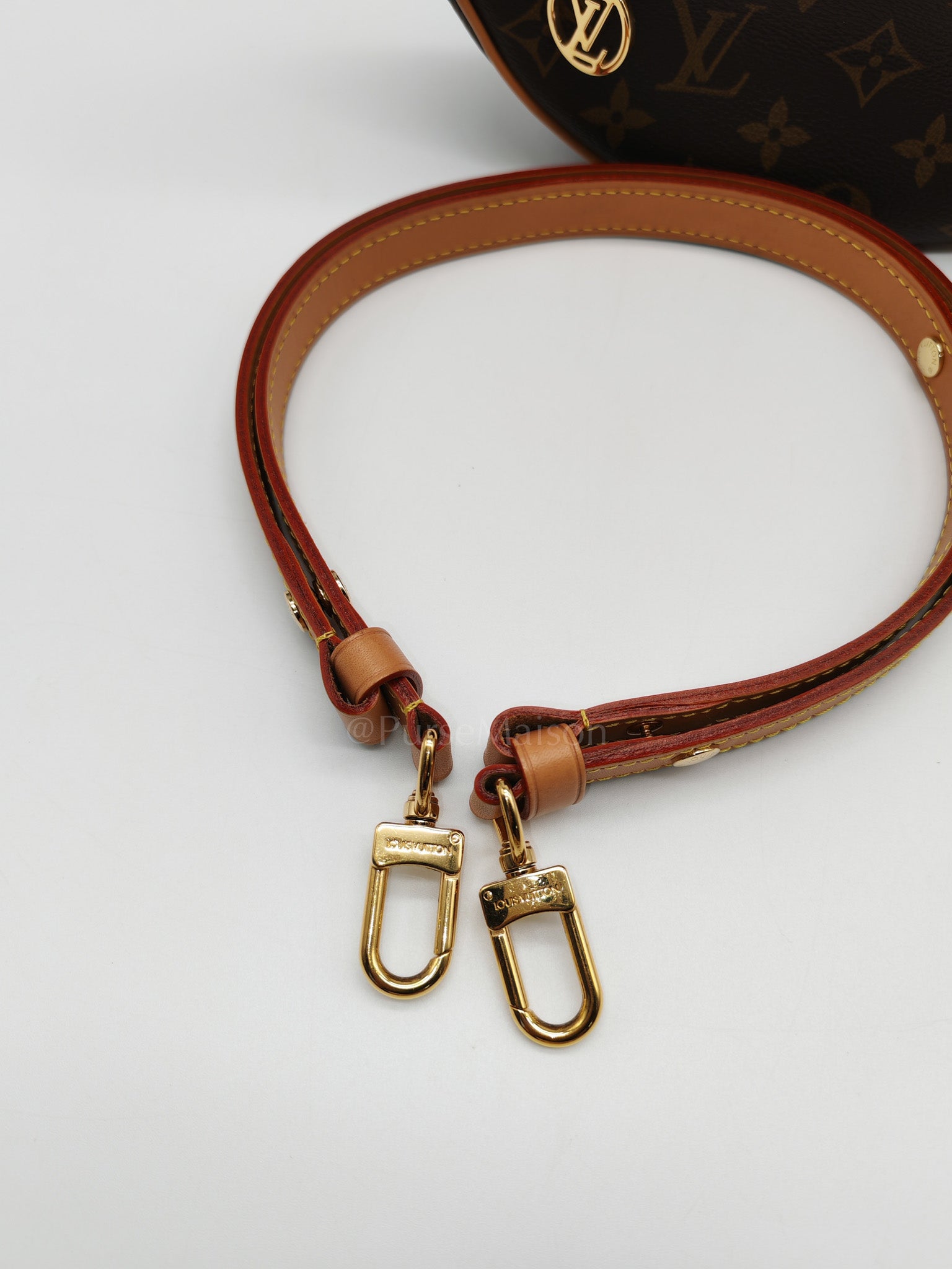 Loop Handbag in Monogram Canvas & Gold Hardware Microchip | Purse Maison Luxury Bags Shop