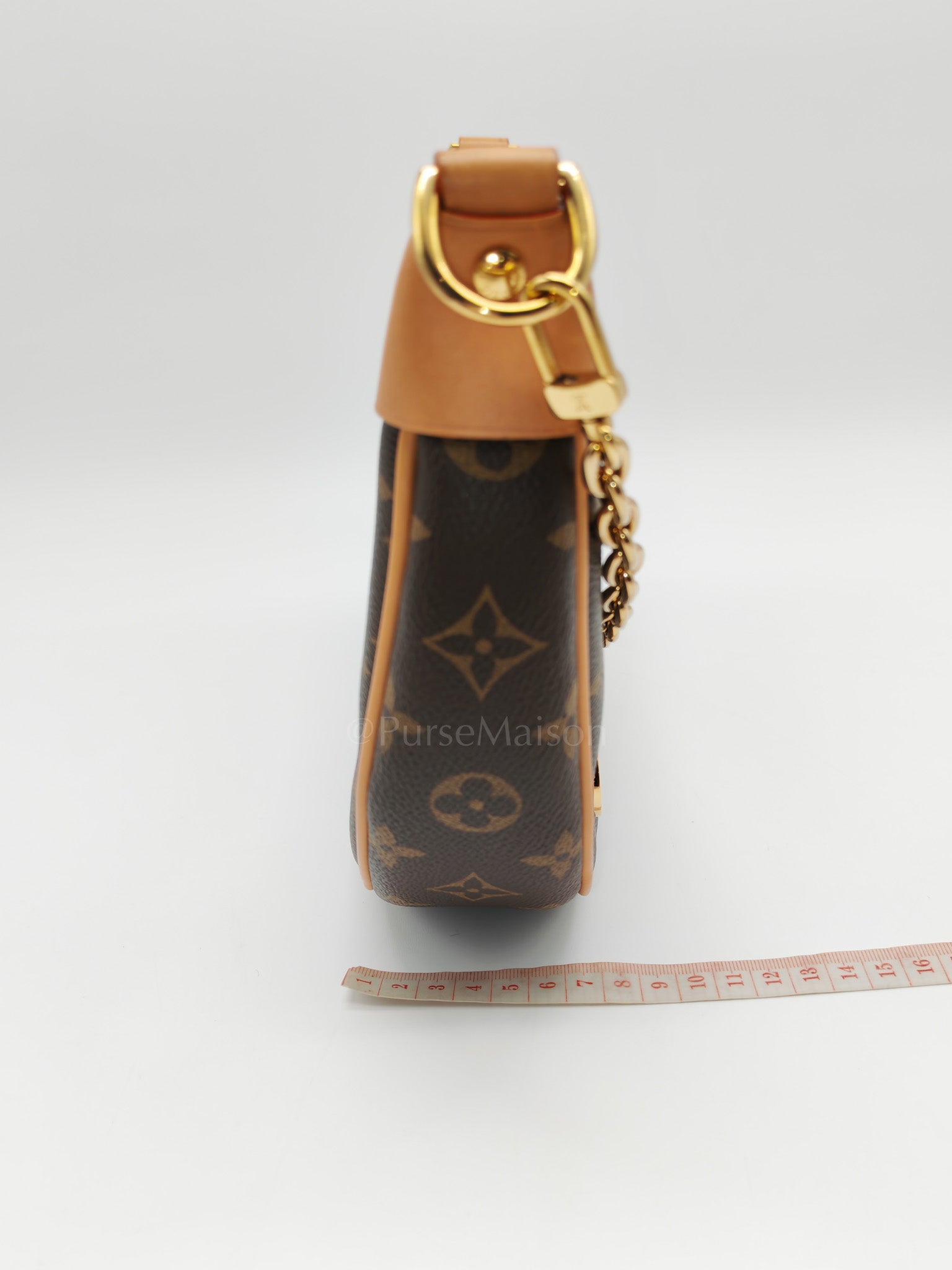Loop Handbag in Monogram Canvas & Gold Hardware Microchip | Purse Maison Luxury Bags Shop