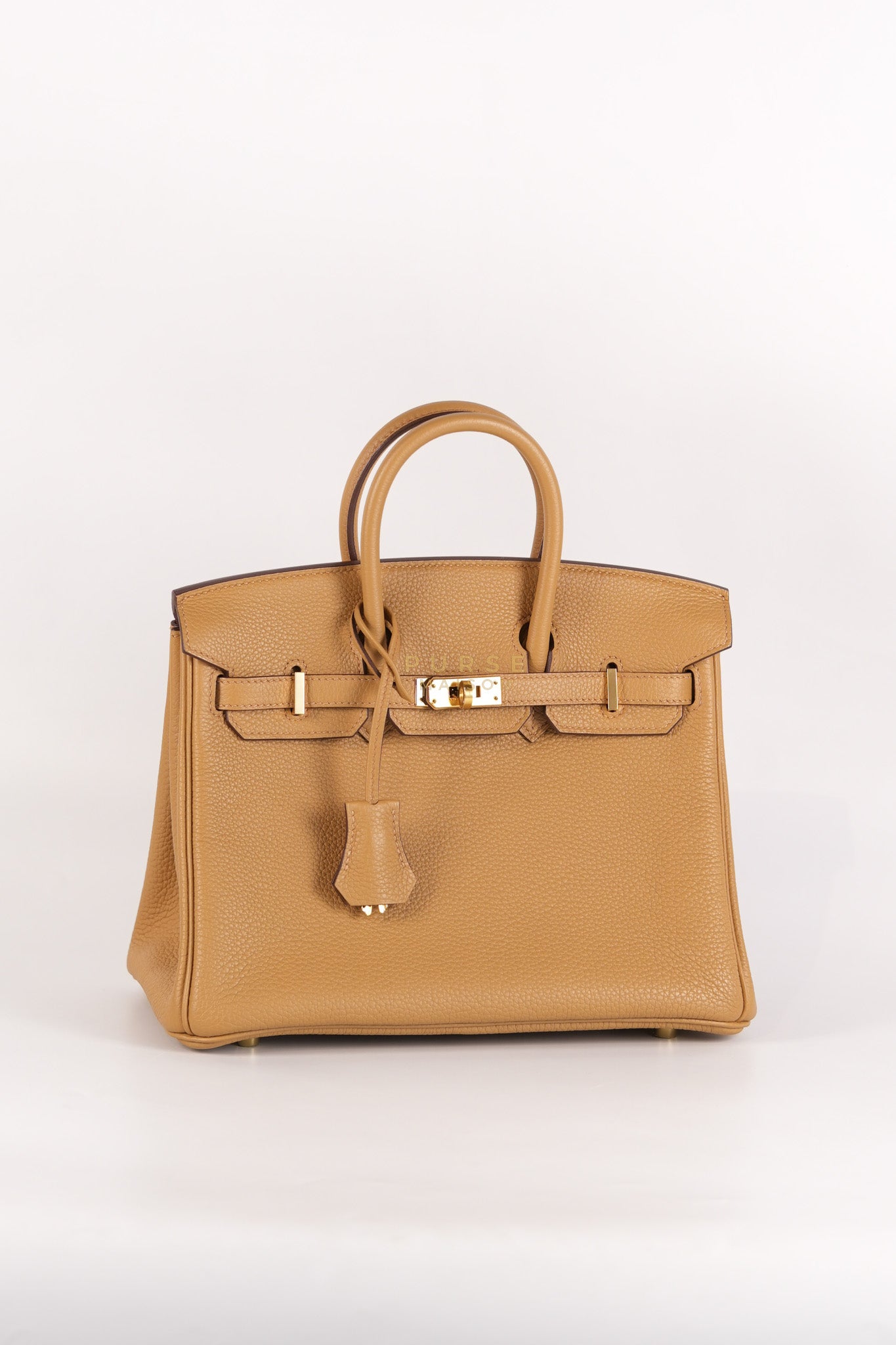 Birkin 25 Retourne in Biscuit Togo Leather and Gold Hardware Stamp U (2022)