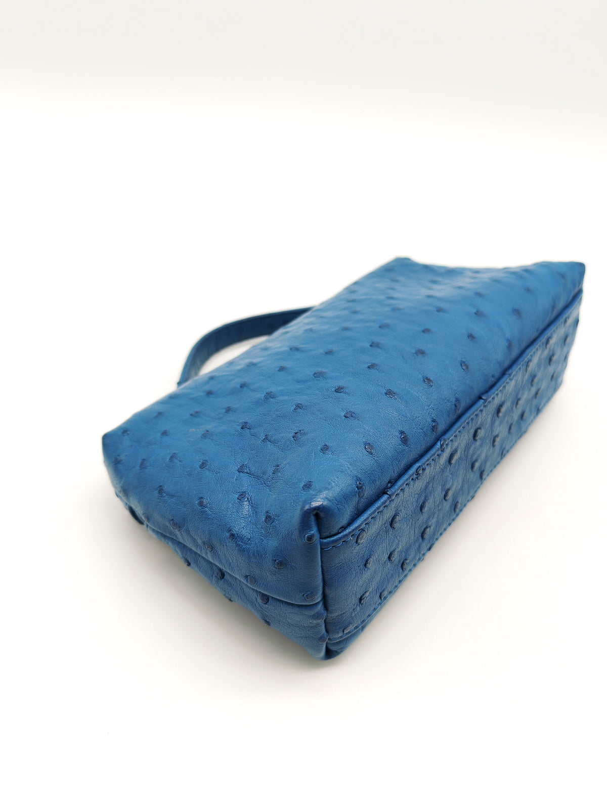 Loro Piana Extra Pocket L19 Bag in Blue Ostrich Leather (no strap) | Purse Maison Luxury Bags Shop
