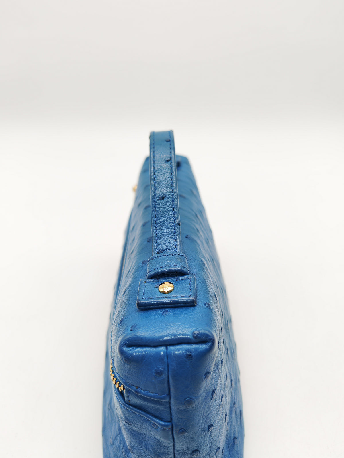 Loro Piana Extra Pocket L19 Bag in Blue Ostrich Leather (no strap) | Purse Maison Luxury Bags Shop