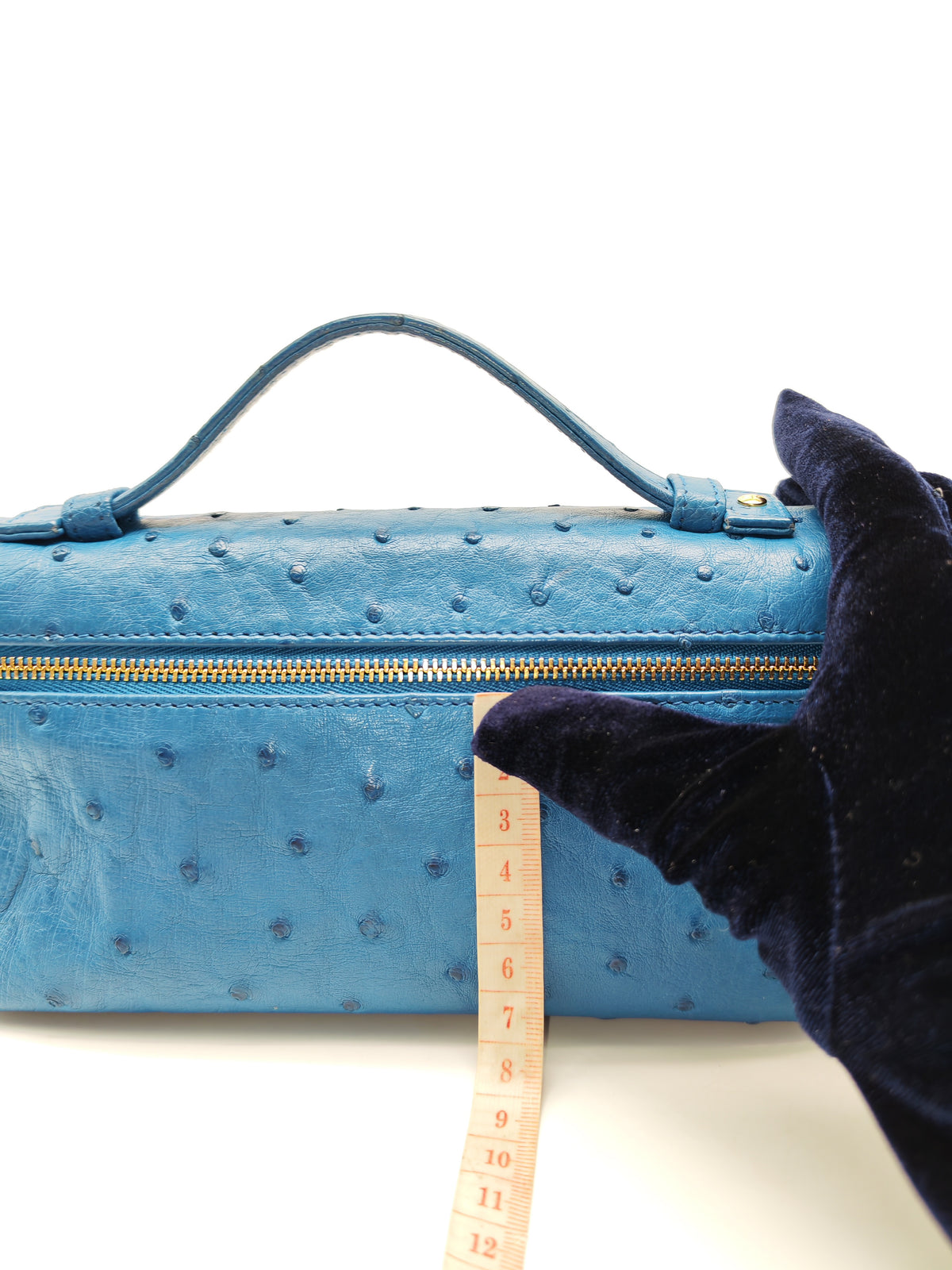 Loro Piana Extra Pocket L19 Bag in Blue Ostrich Leather (no strap) | Purse Maison Luxury Bags Shop