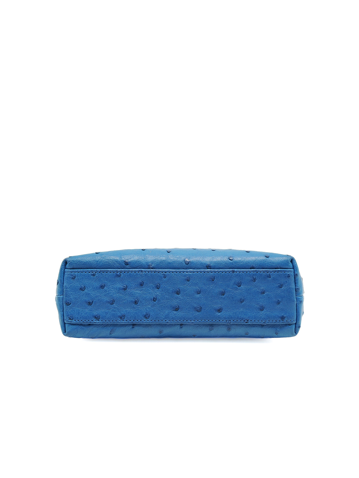Loro Piana Extra Pocket L19 Bag in Blue Ostrich Leather (no strap) | Purse Maison Luxury Bags Shop