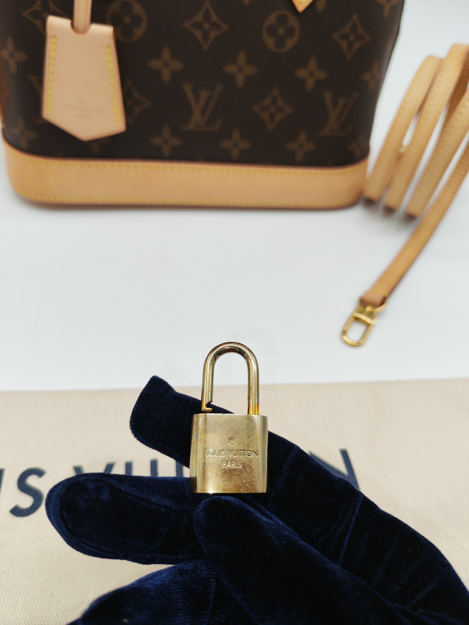 Alma BB in Monogram Canvas & Light Gold Hardware Microchip