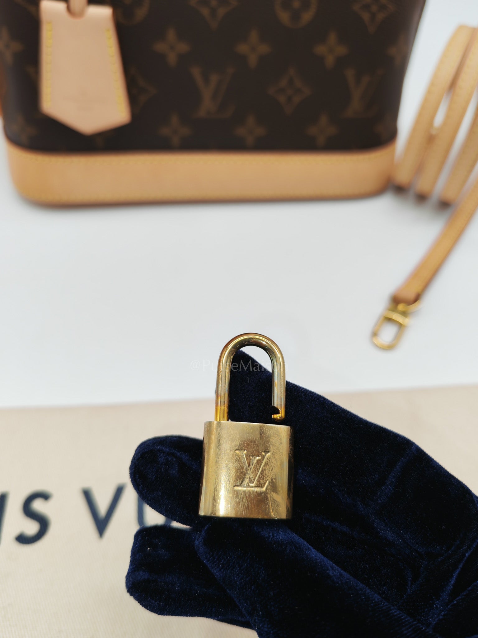 Alma BB in Monogram Canvas & Light Gold Hardware Microchip