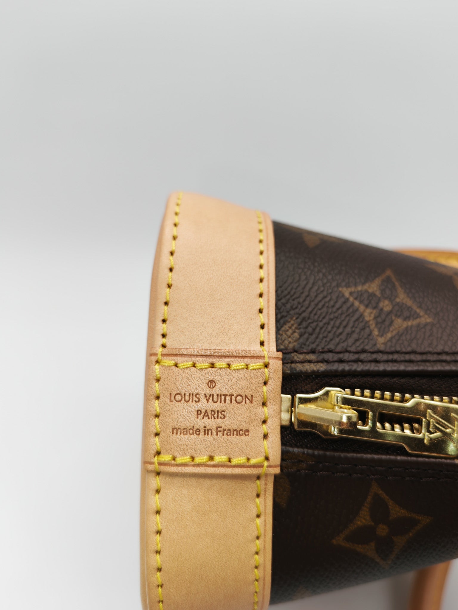 Alma BB in Monogram Canvas & Light Gold Hardware Microchip