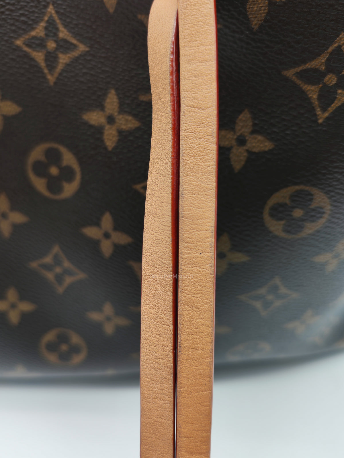 Louis Vuitton Carry All PM in Monogram Canvas and Gold Hardware Mircochip | Purse Maison Luxury Bags Shop