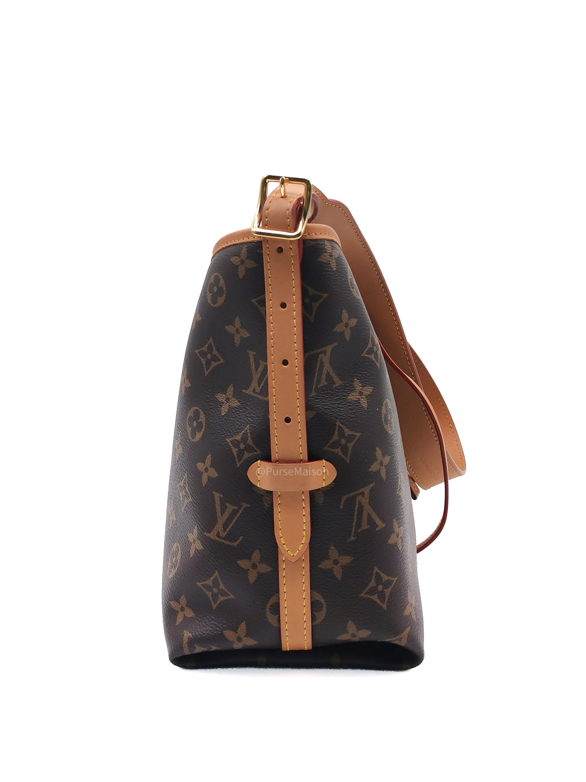 Louis Vuitton Carry All PM in Monogram Canvas and Gold Hardware Mircochip | Purse Maison Luxury Bags Shop